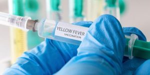 What to Expect from a Yellow Fever Vaccine