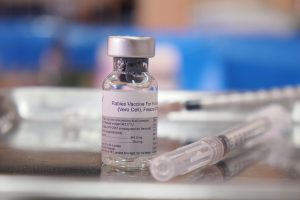The Rabies Vaccine: Why It's Important for Humans and Animals