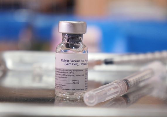 The Rabies Vaccine: Why It's Important for Humans and Animals